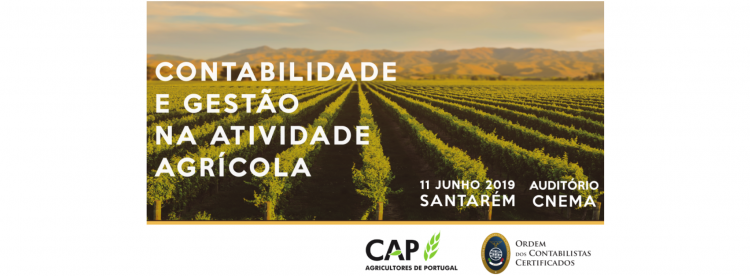 contabilidade e gestão na atividade agrícola