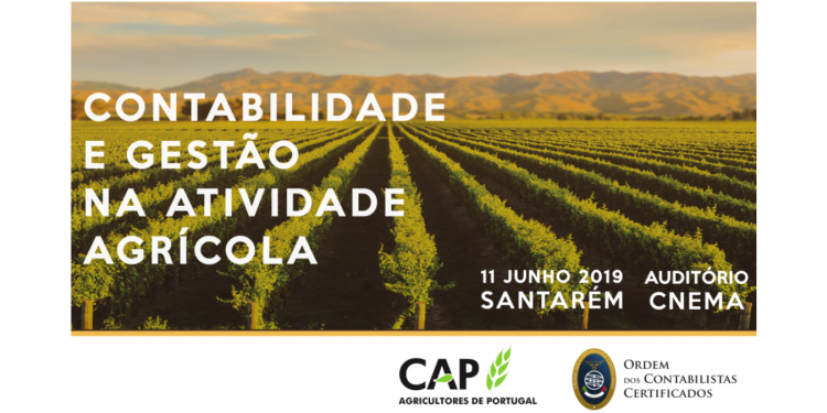 contabilidade e gestão na atividade agrícola