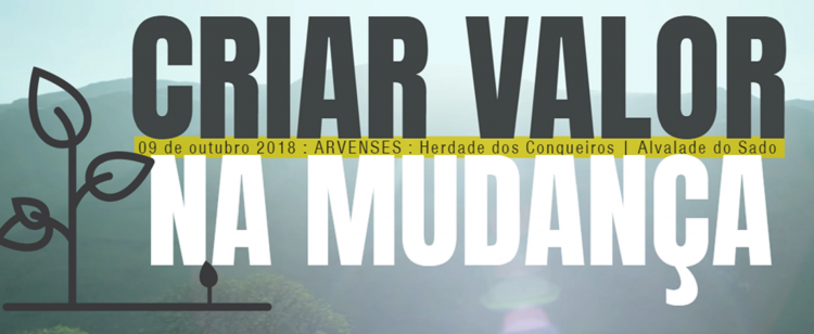 criar-valor