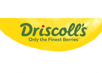 Driscoll's logo