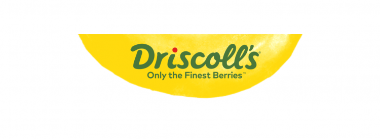 Driscoll's logo