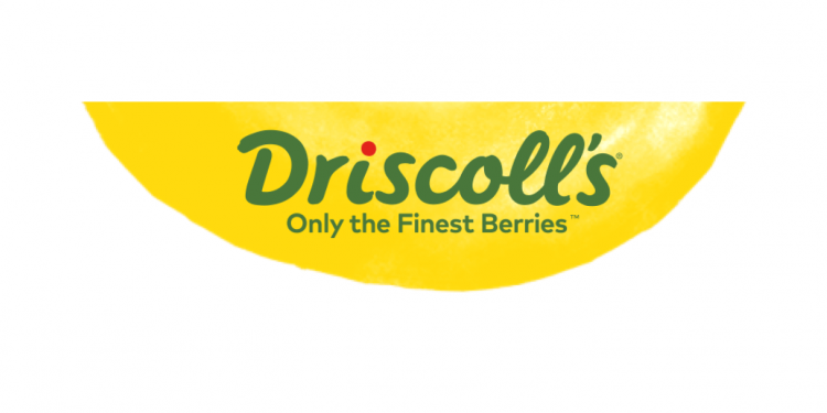 Driscoll's logo