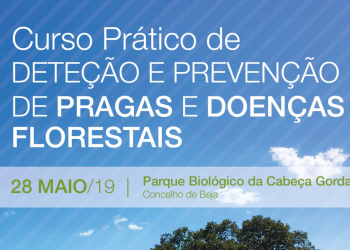 pragas e doenças florestais curso