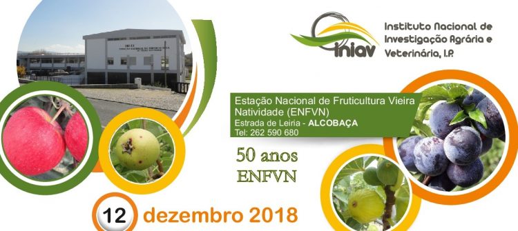 fruticultura_2018-002