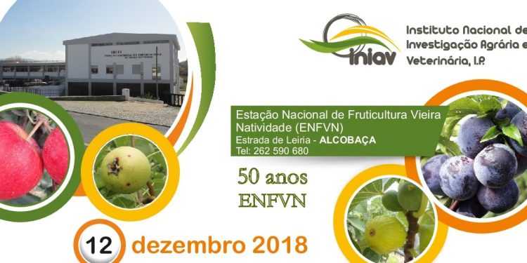 fruticultura_2018-002