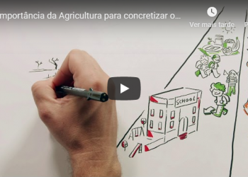 importância da agricultura anipla