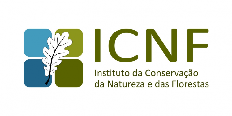 icnf logo