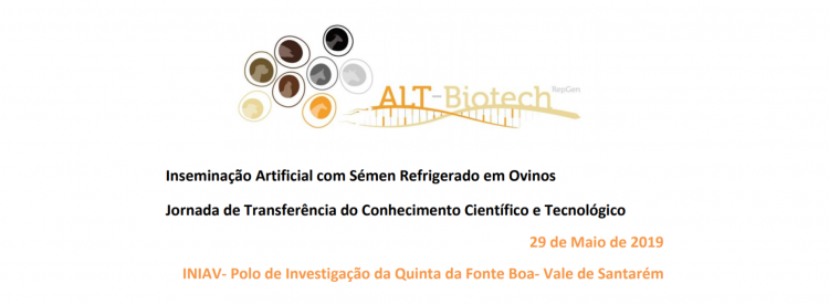 Inseminação Artificial com Sémen Refrigerado em Ovinos