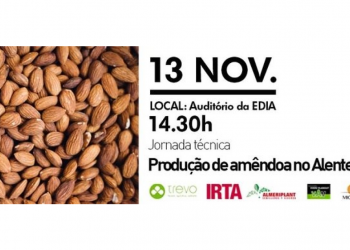 jornadas amendoa 2019