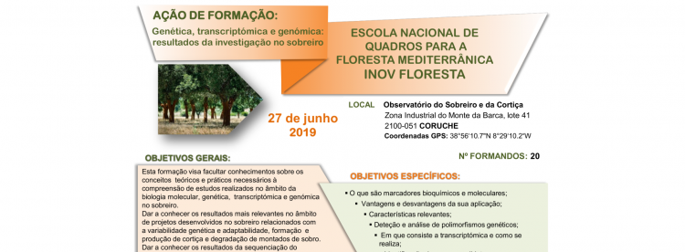 montado formaçao