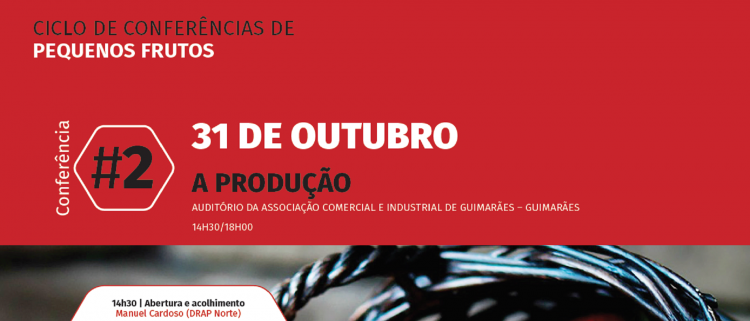 pequenos frutos