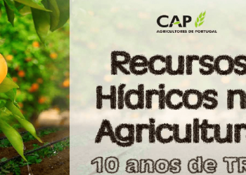 recursos-hidricos-cap