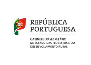republica-portuguesa11