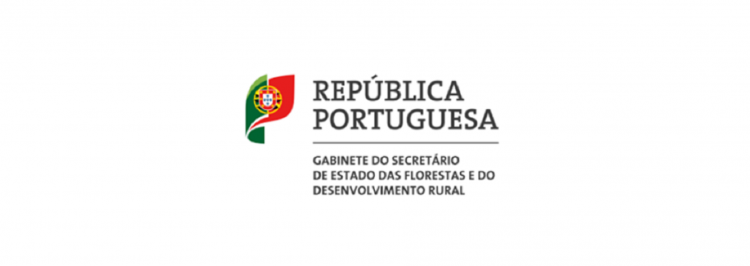 republica-portuguesa11