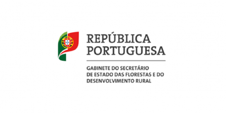 republica-portuguesa11