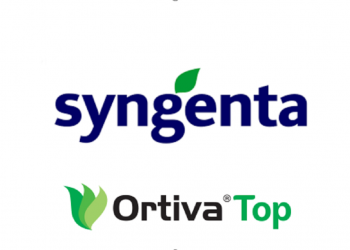 Syngenta OrtivaTop