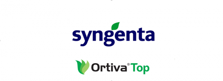 Syngenta OrtivaTop