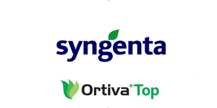 Syngenta OrtivaTop