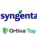 Syngenta OrtivaTop