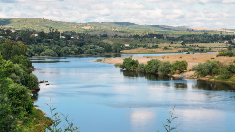 CVRTejo – Comissão Vitivinícola Regional do Tejo