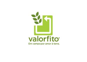 Valorfito