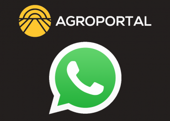 whatsapp agroportal