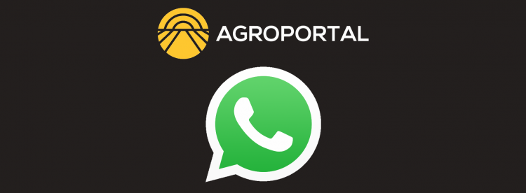 whatsapp agroportal