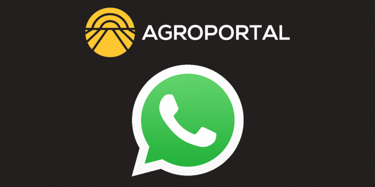 whatsapp agroportal