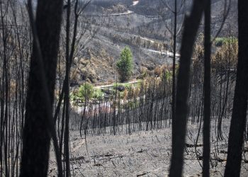 incêndios