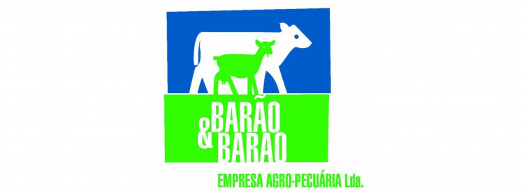 Barão e Barão