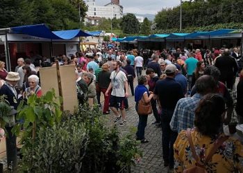 feira do mirtilo