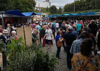 feira do mirtilo