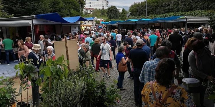 feira do mirtilo