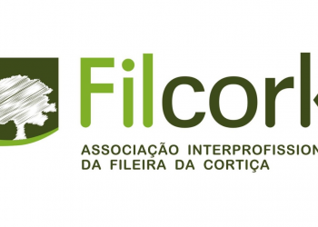 Filcork