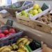 Projeto Mercados Regionais