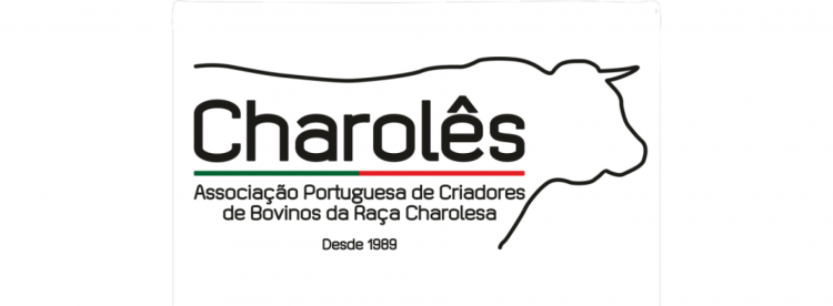 charolês