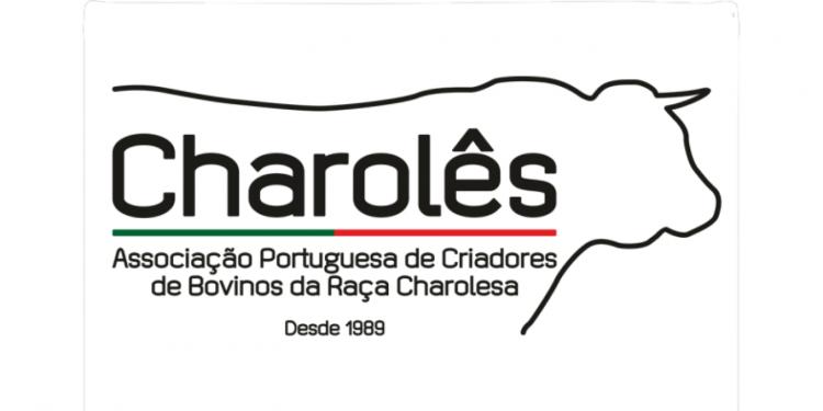 charolês