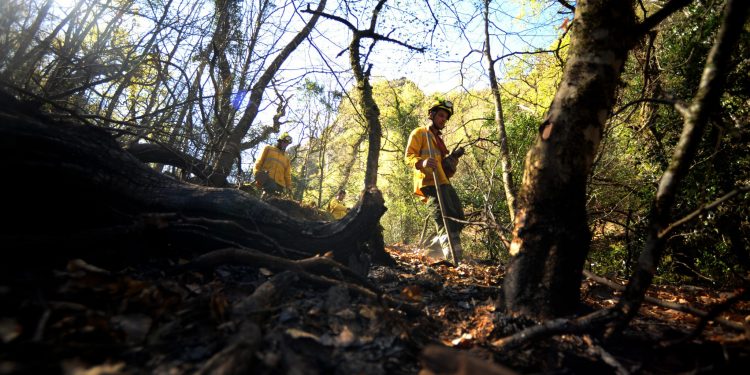 floresta peneda geres