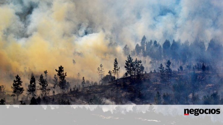 incêndios