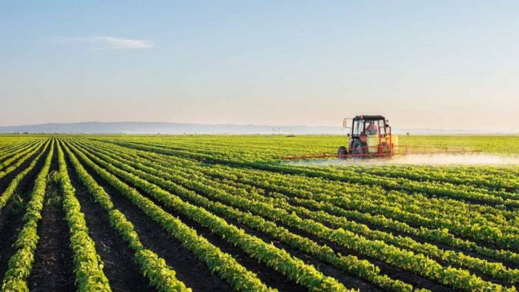agricultura