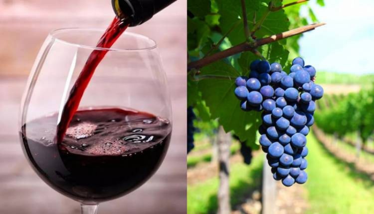 vinho e uva