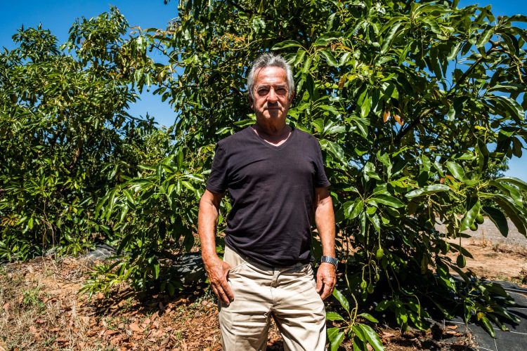 RUI GAUDÊNCIO