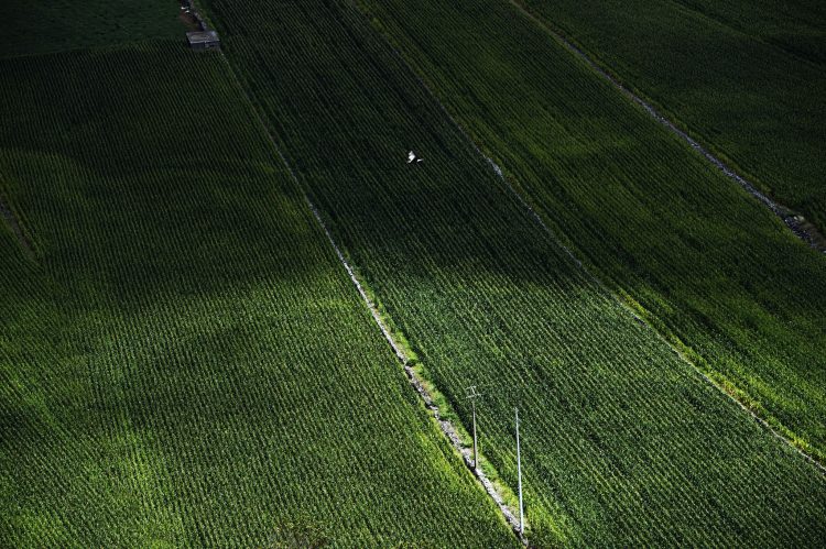 agricultura