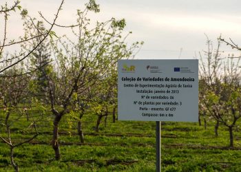 Centro de Experimentação Agrária de Tavira