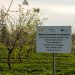 Centro de Experimentação Agrária de Tavira