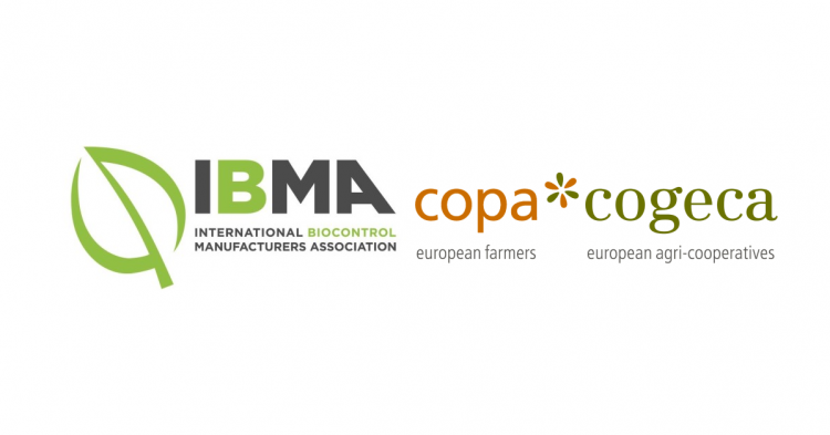 IBMA Copa cogeca