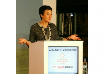 Maria do Céu Albuquerque