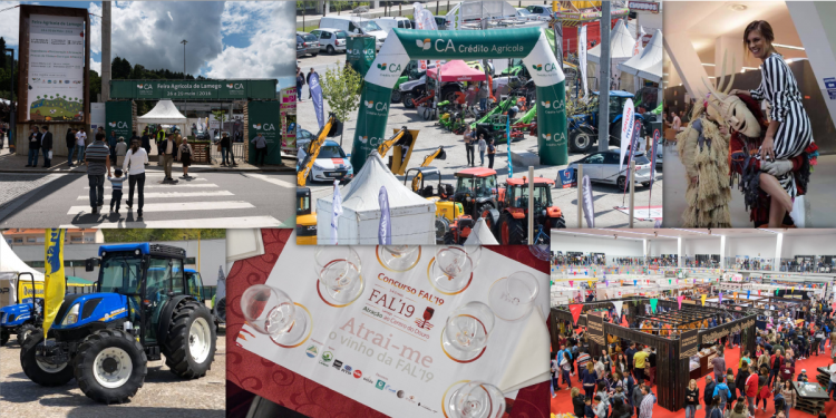 Feira Agrícola de Lamego