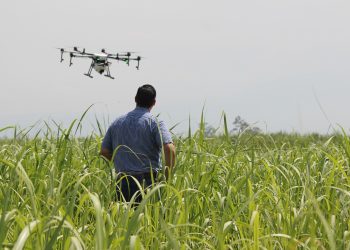 agricultura de precisão