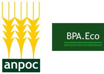 anpoc BPA.Eco